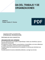 Psicologia Del Trabajo Y de Las Organizaciones: Unidad 8 Profesor Gustavo D. Faranna