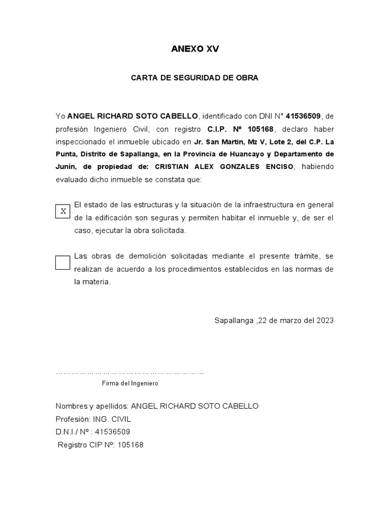 XV - Carta de Seguridad de Obra | PDF