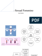 Presentación: Ciclo Sexual Femenino