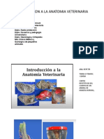 Introduccion A La Anatomia Veterinaria
