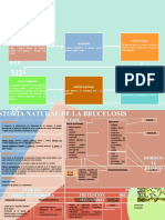 Historia Natural de La Brucelosis
