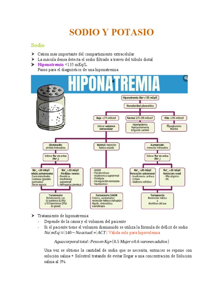Manejo de Sodio y Potasio en Pacientes | PDF | Sodio | Potasio
