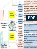 Cuadro Sinoptico Ramas y Areas de La Contabilidad