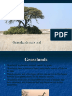 5 U6 C1 Grasslands - Survival