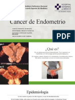 Cancer Endometrio