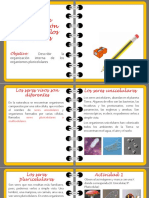 GUIA 1. UNI Y PLURICELULARES 5°