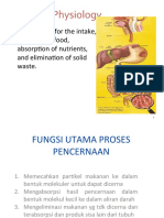 Fungsi Utama Pencernaan