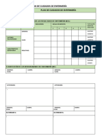 Formato de Plan de Cuidados de Enfermeria | PDF