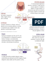 Sistema digestivo e absorção de nutrientes