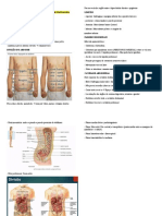 AULA 1 - Abdome