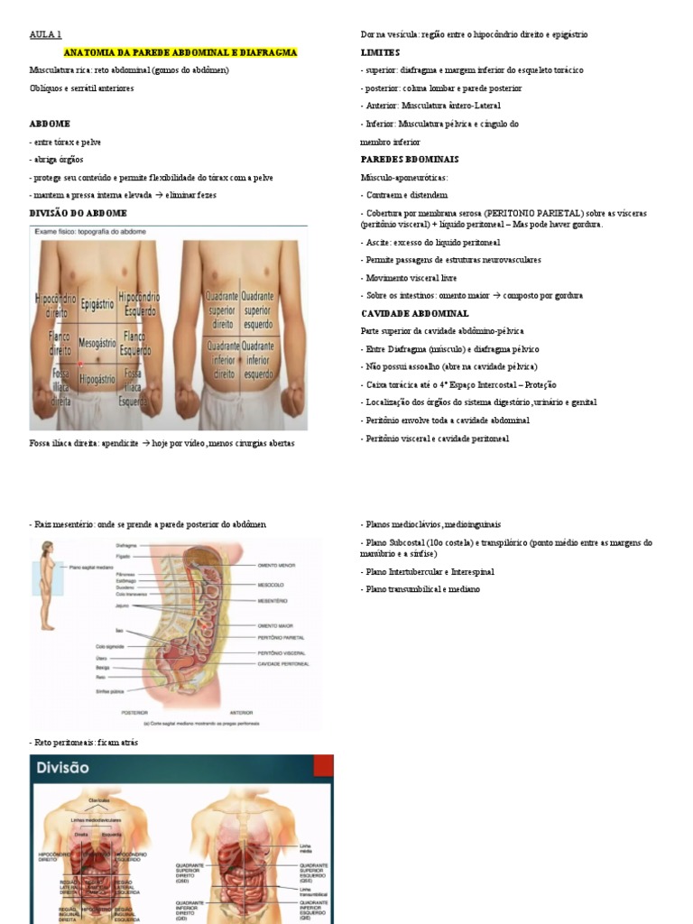 3A5300J, Bomba de diafragma pneumática Husky™ 2200, Reparação/peças,  Portuguese, image size:768x1024