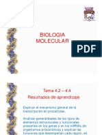 Gen y mRNA Procariotico