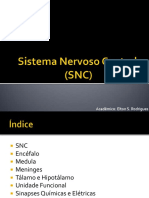 Sistemanervosocentral Aula 2.1