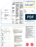Diet Lambung