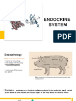 Endocrine System Animal Science