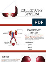 Lecture 5 EXCRETORY SYSTEM AND REPRODUCTIVE SYSTEM