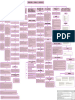 Mapa Conceptual Productos (Primer Parcial)