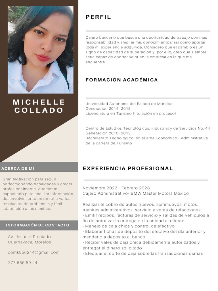Perfil Profesional de Michelle Collado | PDF | Dinero | Turismo
