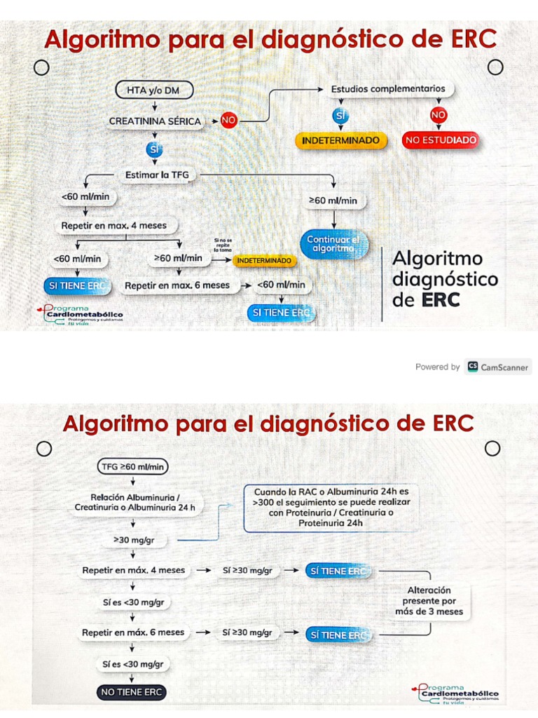 Algoritmo para El Diagnóstico de ERC | PDF