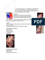 Arterias Aorta, Pulmonar y TBC