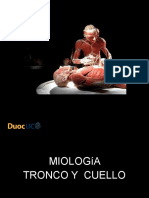 Miologia Tronco y Cuello