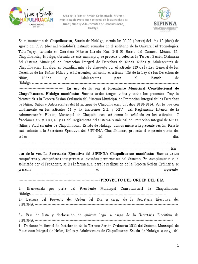 acta-sesion-ordinaria-sipinna-pdf