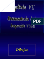 Documentos Inspección Visual 2005 Cap VII-VIII