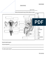 CIENCIAS NATURALES Producto Sistema Sexual