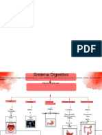 Mapa Conceptual Sistema Digestivo