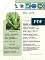 Aloe Vera: Gel Segar Lidah Buaya