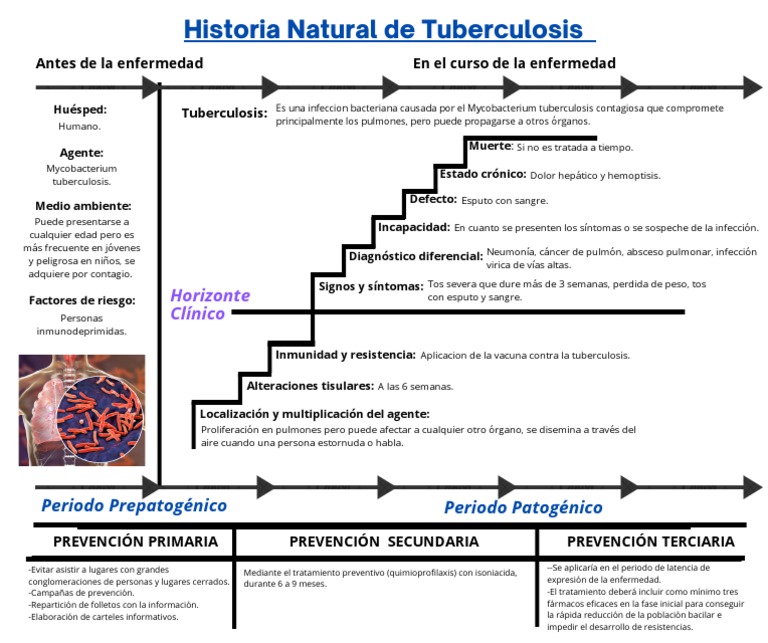 Periodo Prepatogénico | PDF | Tuberculosis | Microbiología