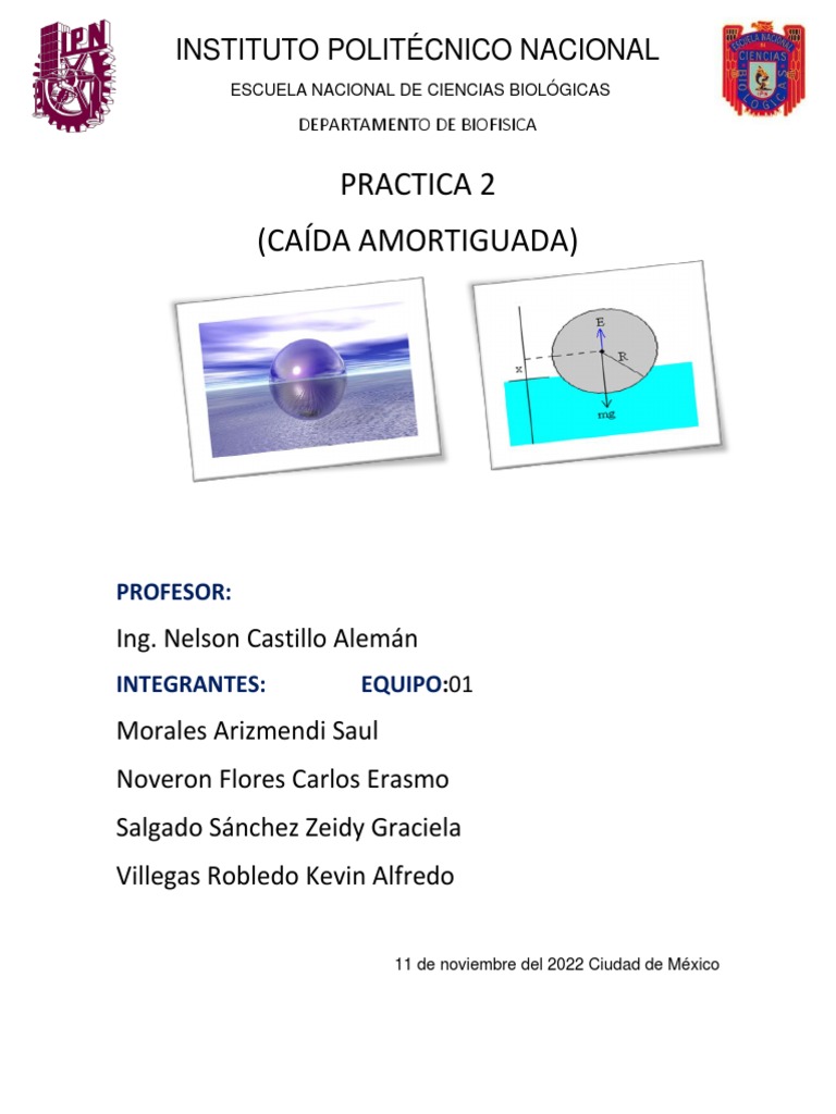 Caída Amortiguada y MRU en Fluidos | PDF | Fuerza | Arrastrar (Física)
