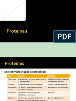 2.3 Proteinas