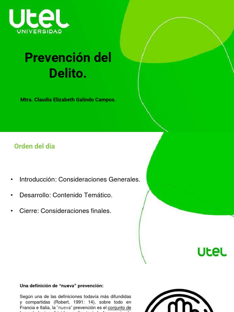 Estrategias de Prevención del Delito | PDF | Prevención del crimen ...