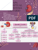 Alteraciones embrionarias del sistema urinario