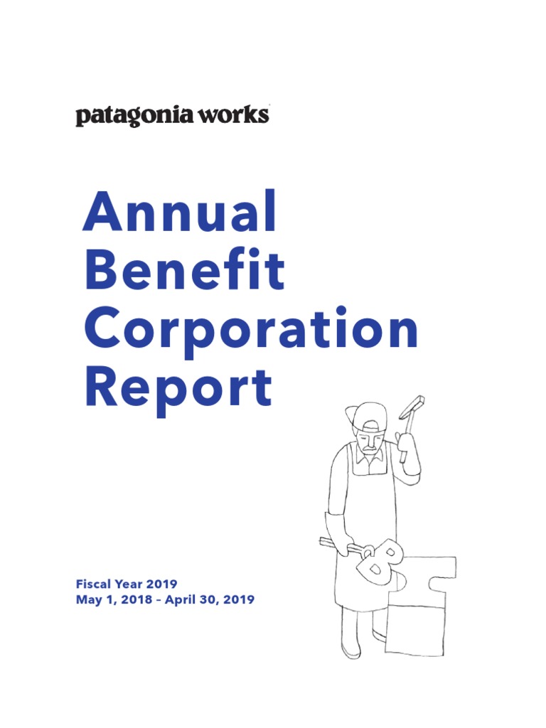 Patagonia Annual Report PDF Recycling Textiles