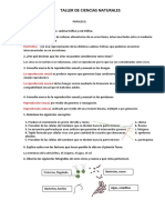 Taller de Ciencias Naturales: Cadena Trófica.-Red Trófica.