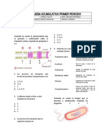 Prueba Célula: Tipos, Transporte y División