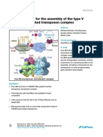 Structural Basis For The Assembly of The Type V CRISPR