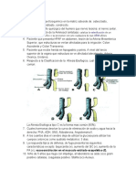 Esterificación Aminoácido Arnt: Cataliza La de Un Específico o Su Precursor Con Uno Cualquiera de Sus Afines