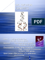 Euro Section Genetics