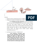 Radiografi Interpretasi Pembengkakan