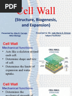 Cell Wall