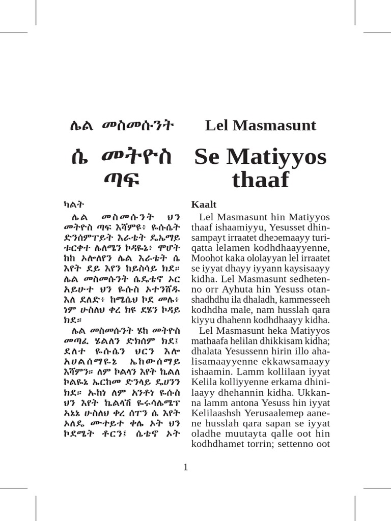 Dirashe Matthew | PDF