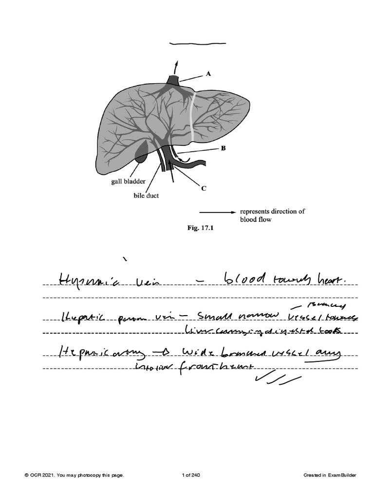 © Ocr 2021. You May Photocopy This Page. 1 of 240 Created in