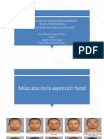 Anatomía de Los Músculos de La Expresión Facial