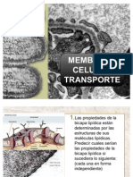 Membrana Celular Transporte (1) Nuevo
