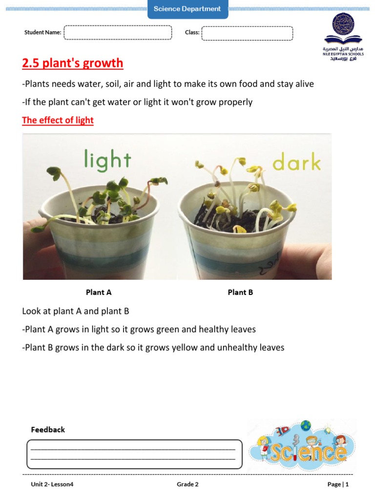 Grade 2-Unit2-Lesson 5 | PDF
