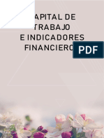 Capital de Trabajo E Indicadores Financieros