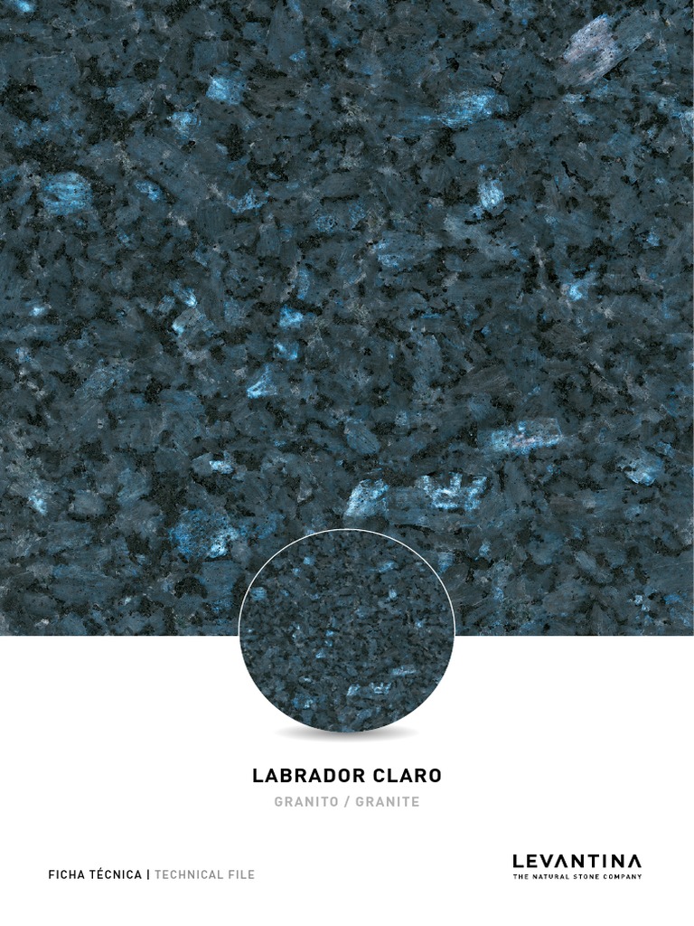 24 Labrador Claro Ficha | PDF | Materiales | Sustancias químicas